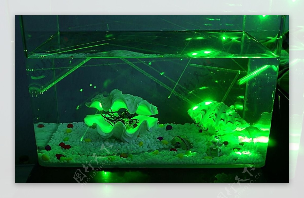 激光与鱼缸图片