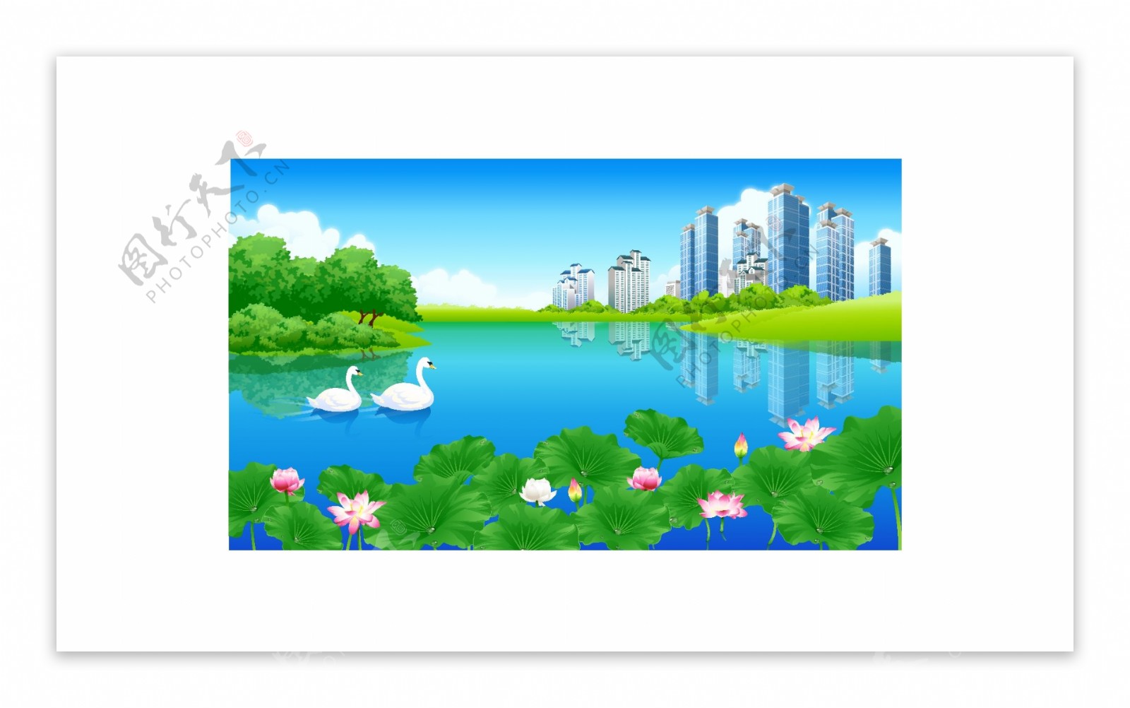 城市湖边荷花天鹅背景图片
