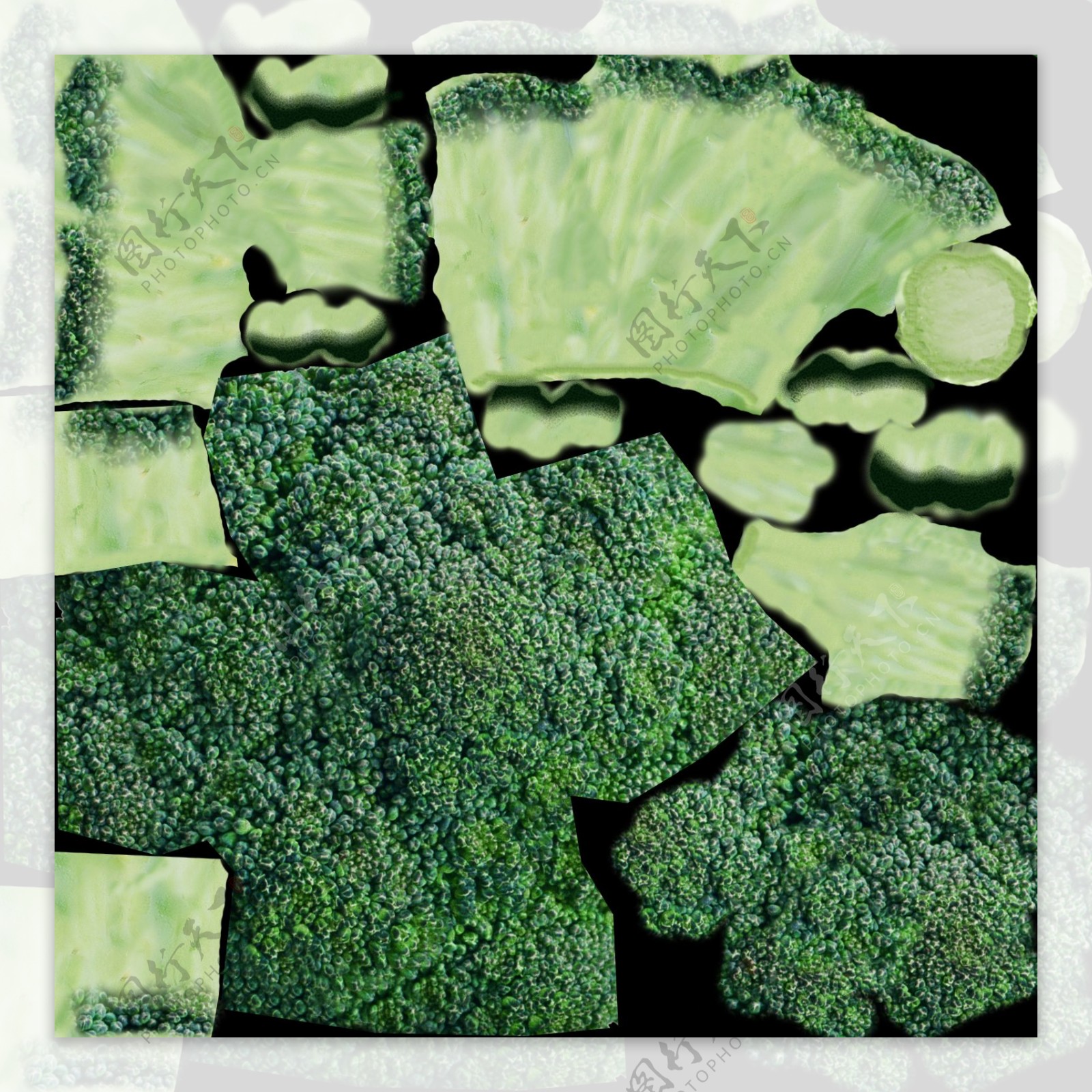 蔬菜max模型图片
