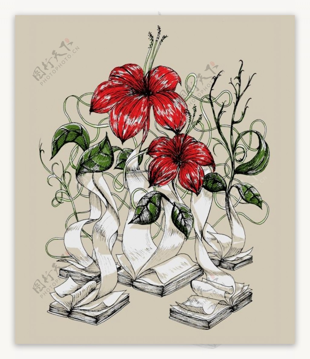 位图优雅植物红花色彩白色免费素材