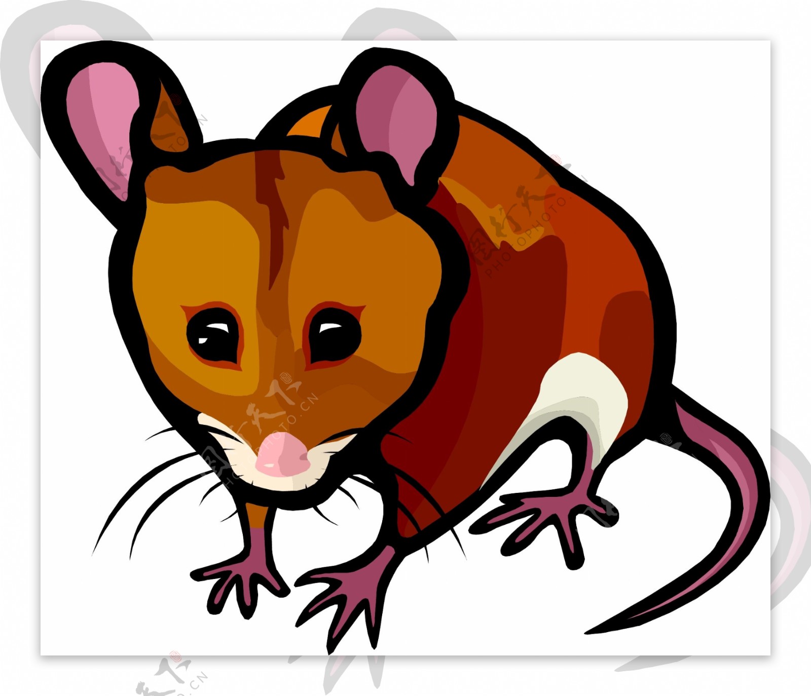 印花矢量图动物老鼠色彩棕色免费素材