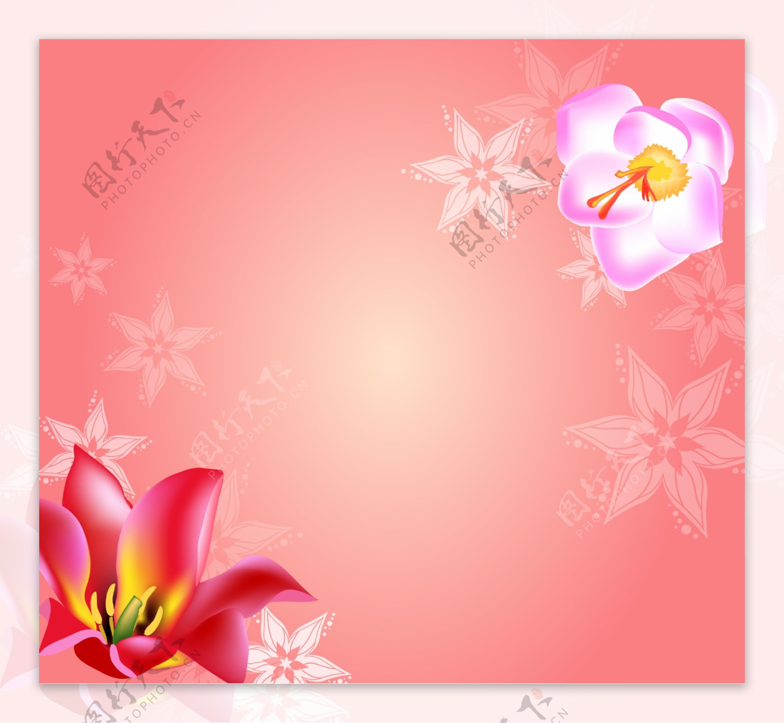 菊花玫瑰百合枫树紫色