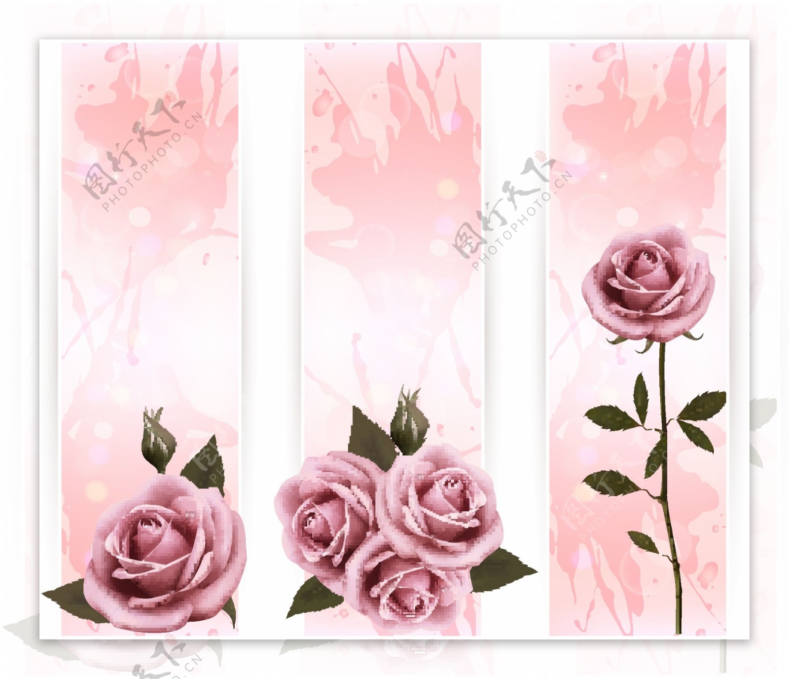 玫瑰花卡片图片
