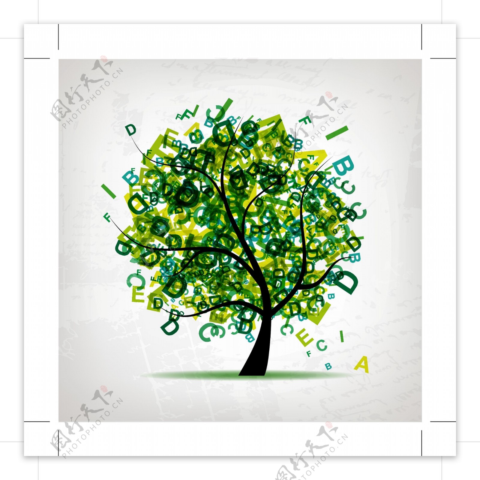 字母绿树图片