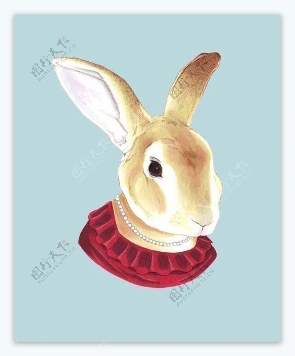 位图插画动物兔子色彩免费素材