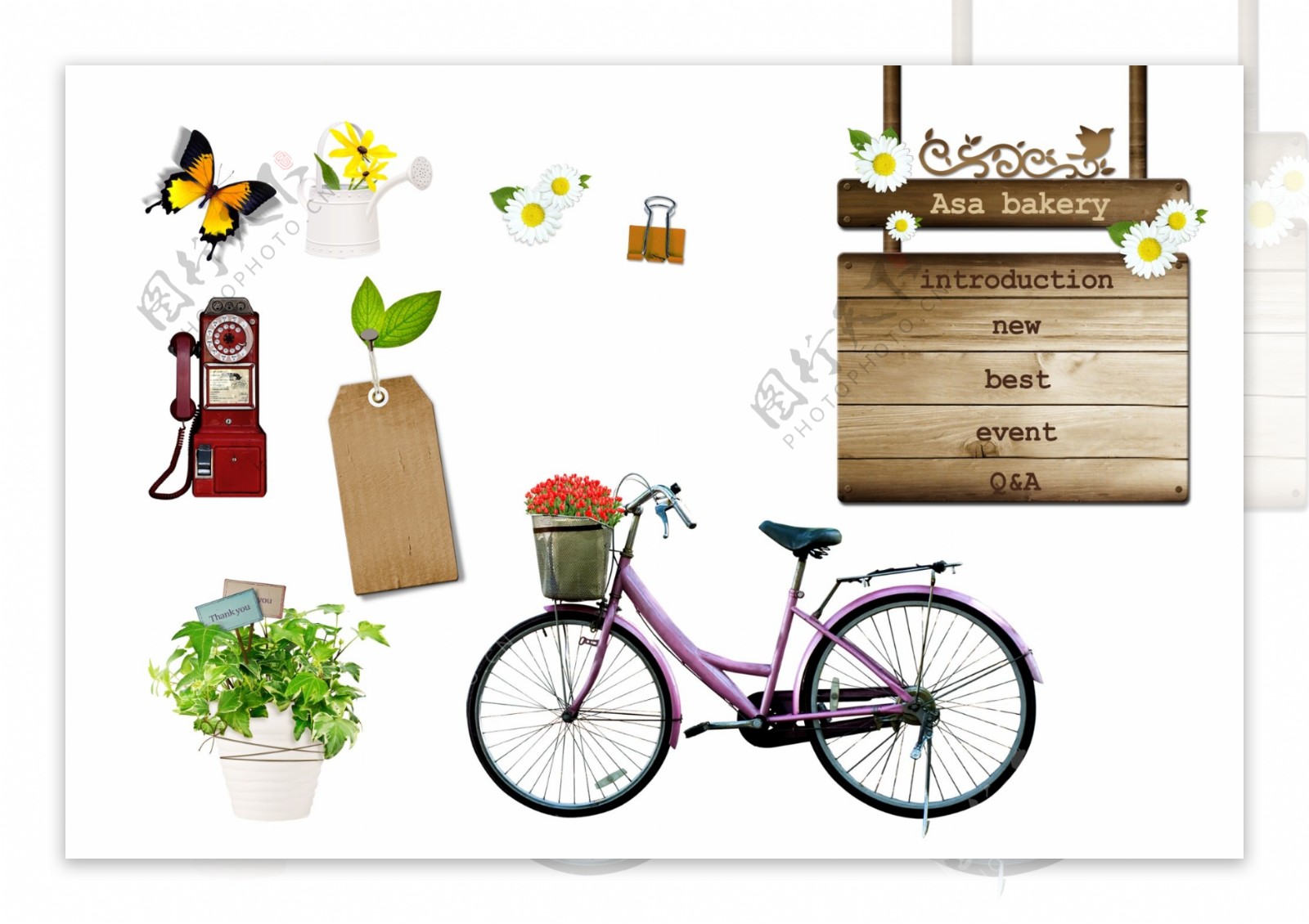 装饰盆栽自行车图片