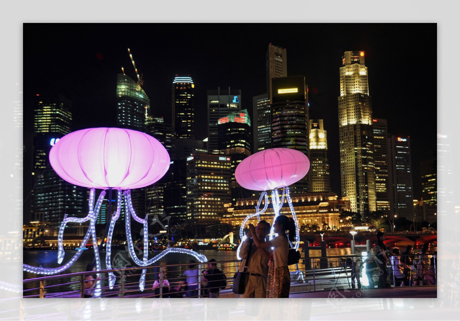 新加坡海滨湾夜景图片