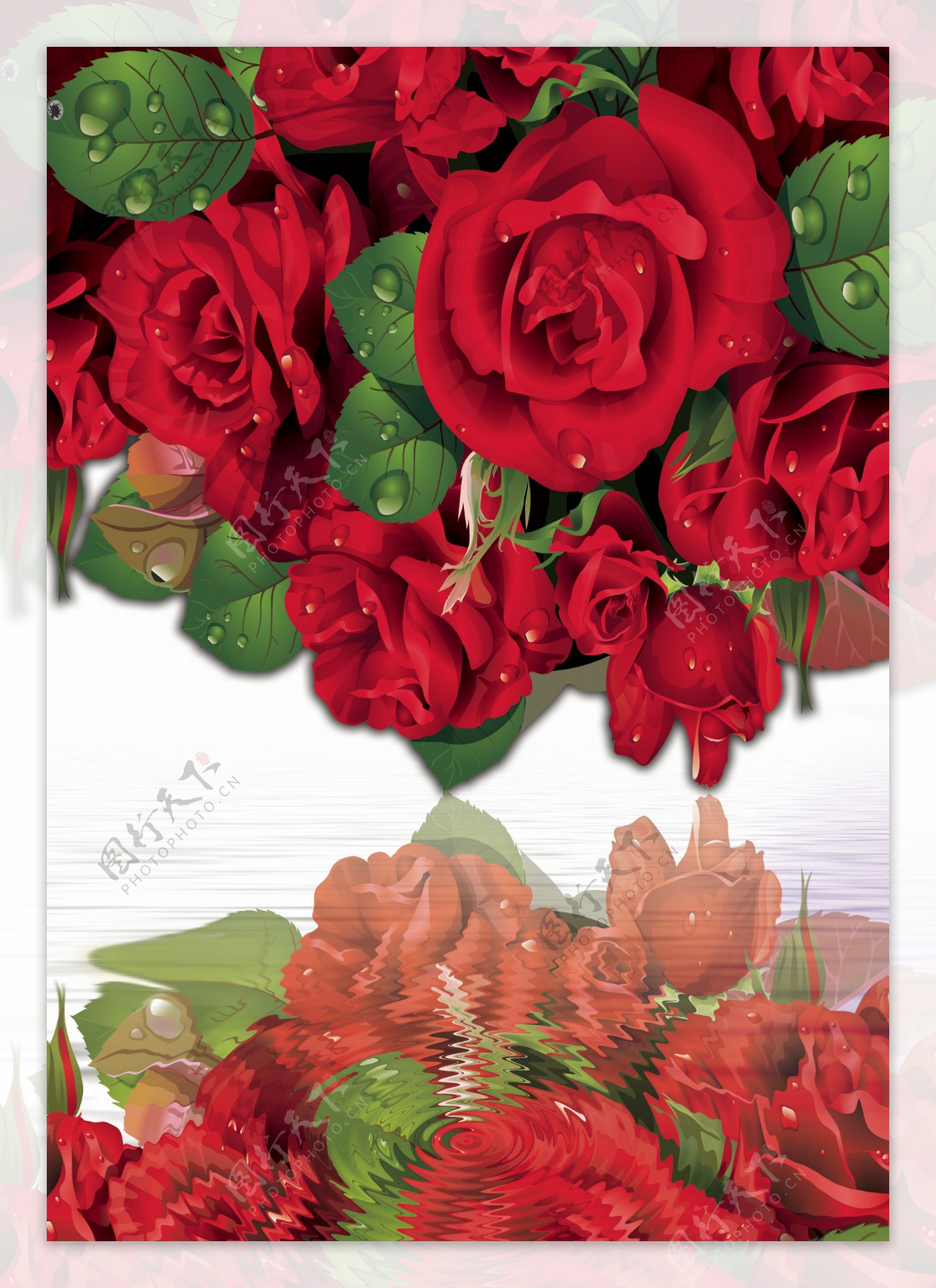 超大玫瑰花高清图片素材免费下载