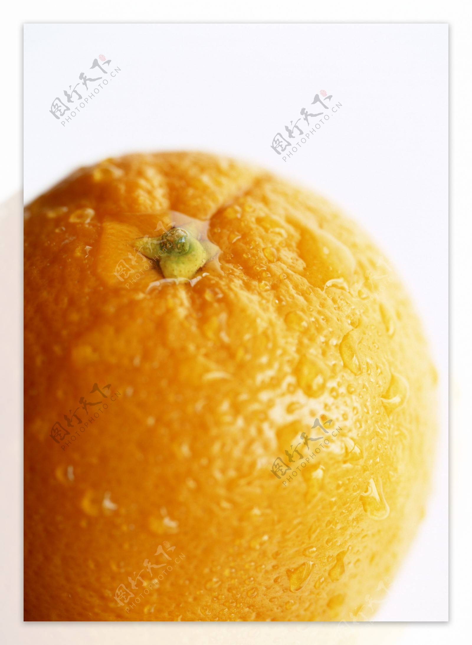 新鲜水果橙子橘子JPG