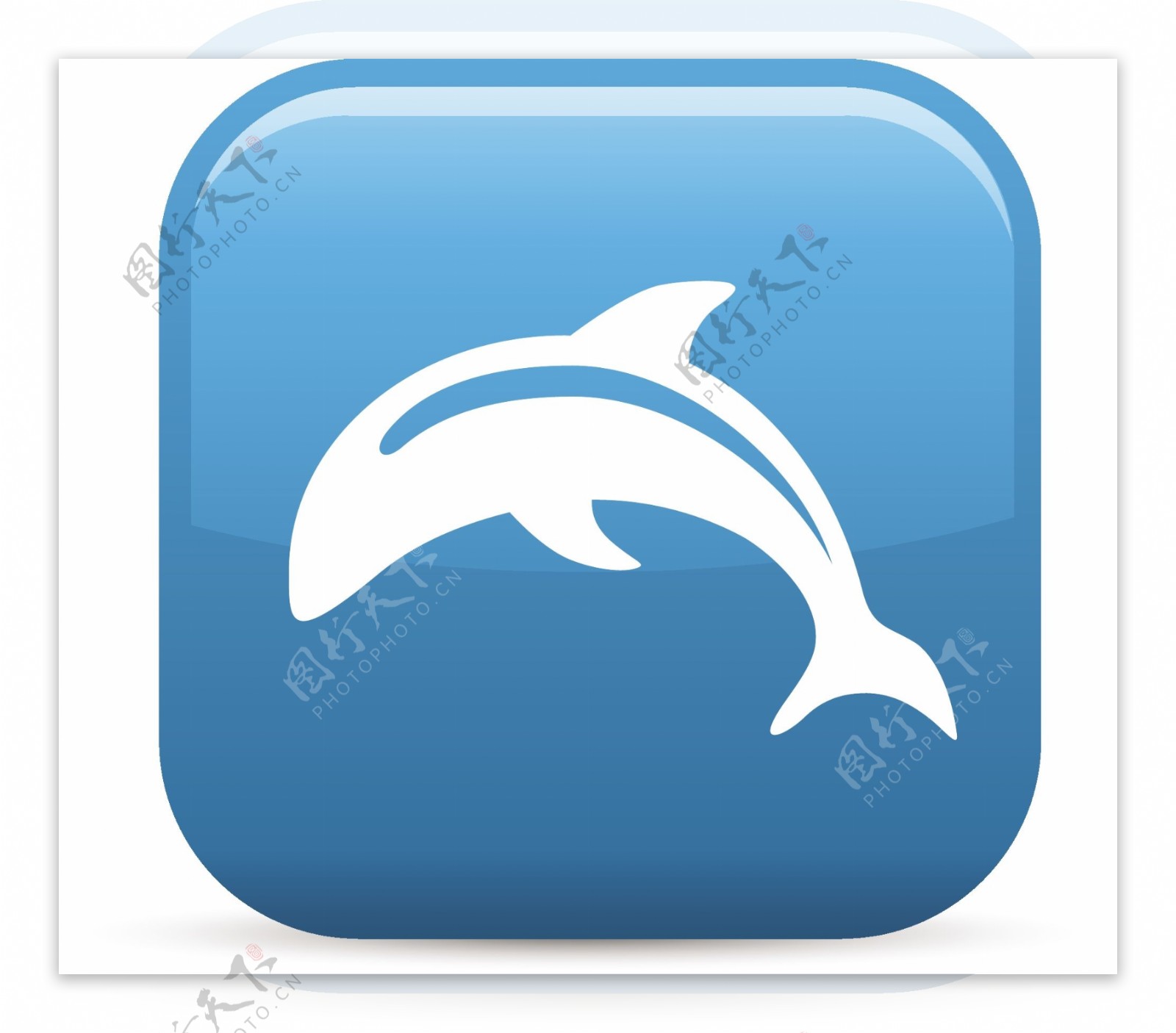 海豚元素光泽图标