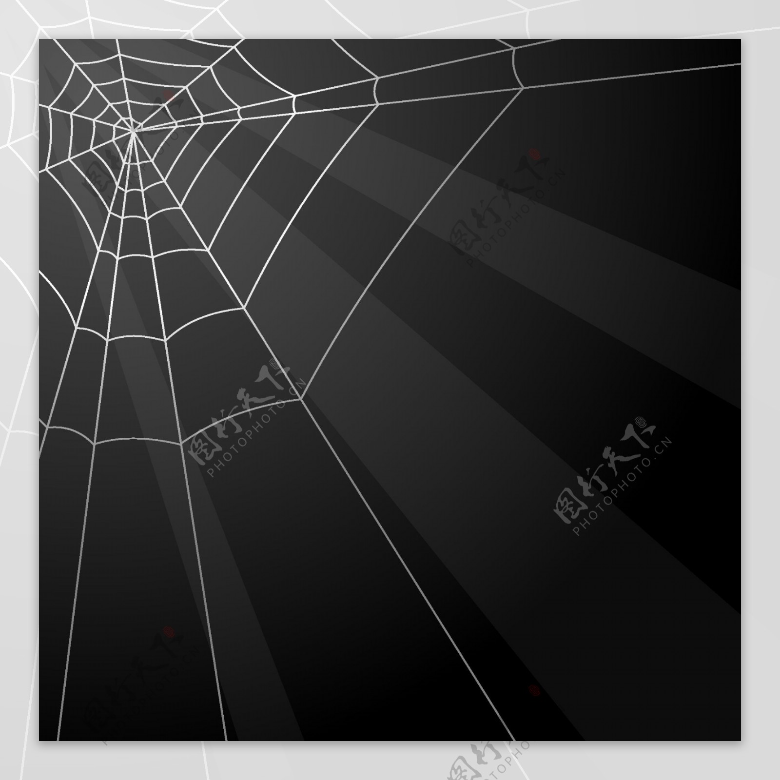 蜘蛛网背景矢量图
