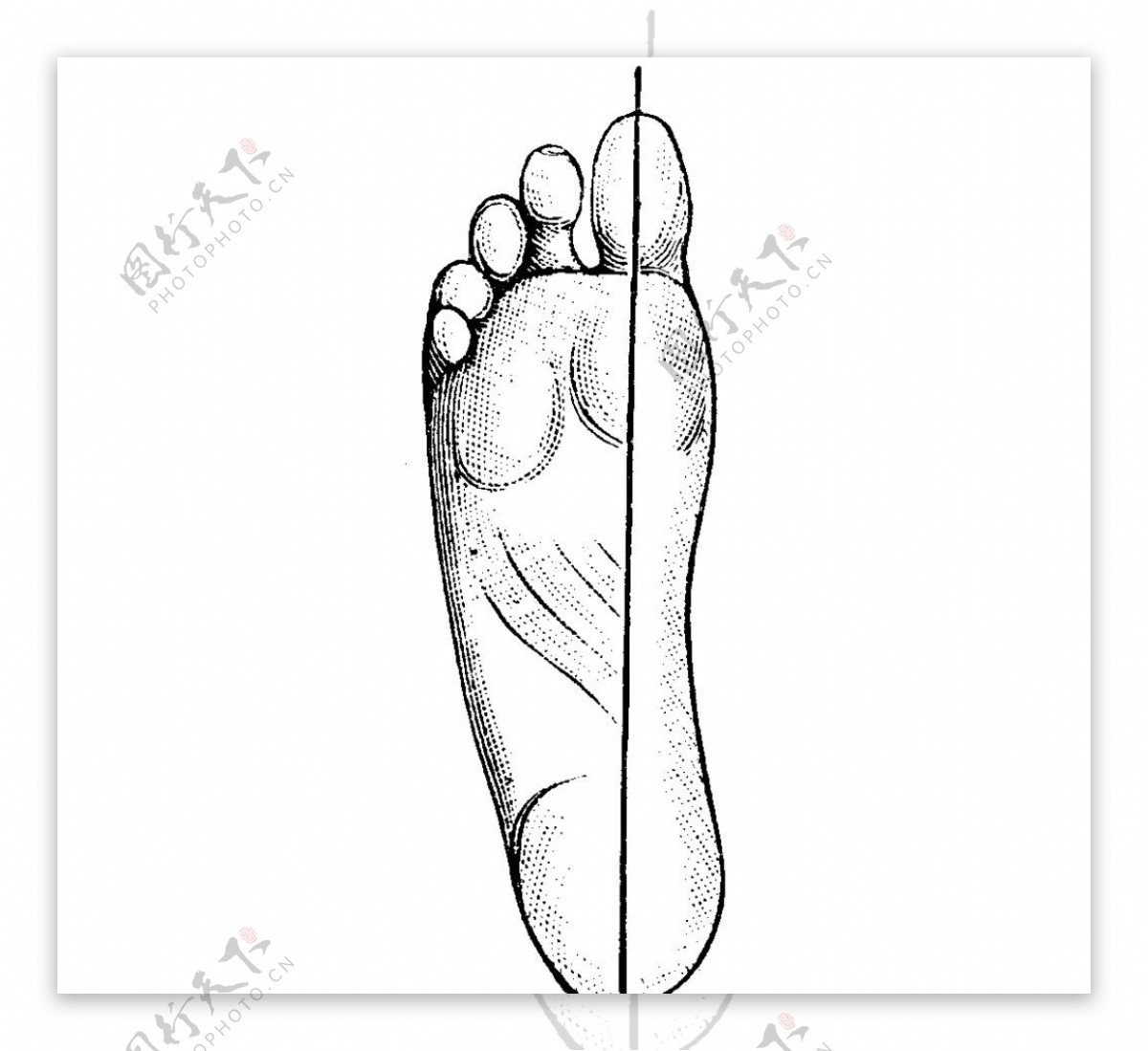 糖尿病患者的足部护理插画图片素材_ID:385632909-Veer图库