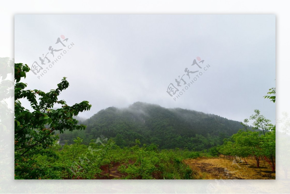 高山田园图片