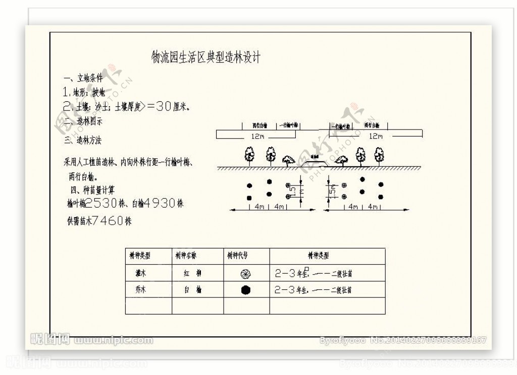 绿化典型造林模式图片