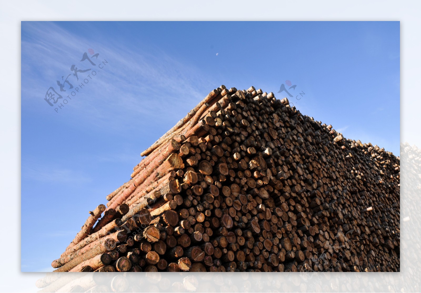 木材的种类都有哪些？木材的特点及用途介绍 - 本地资讯 - 装一网