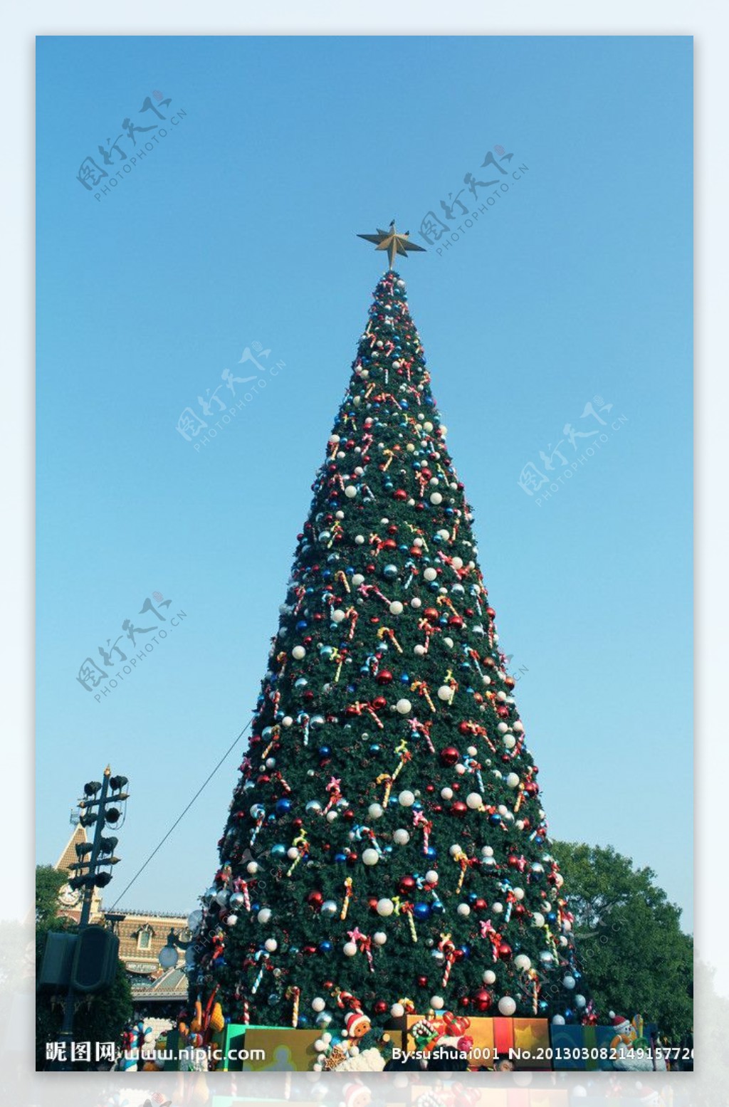 大型圣诞树图片