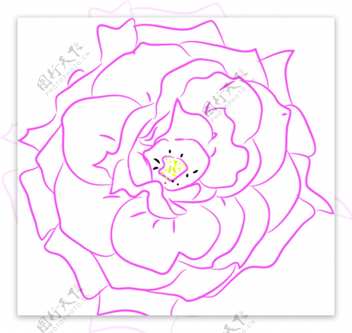 玫瑰花矢量图图片