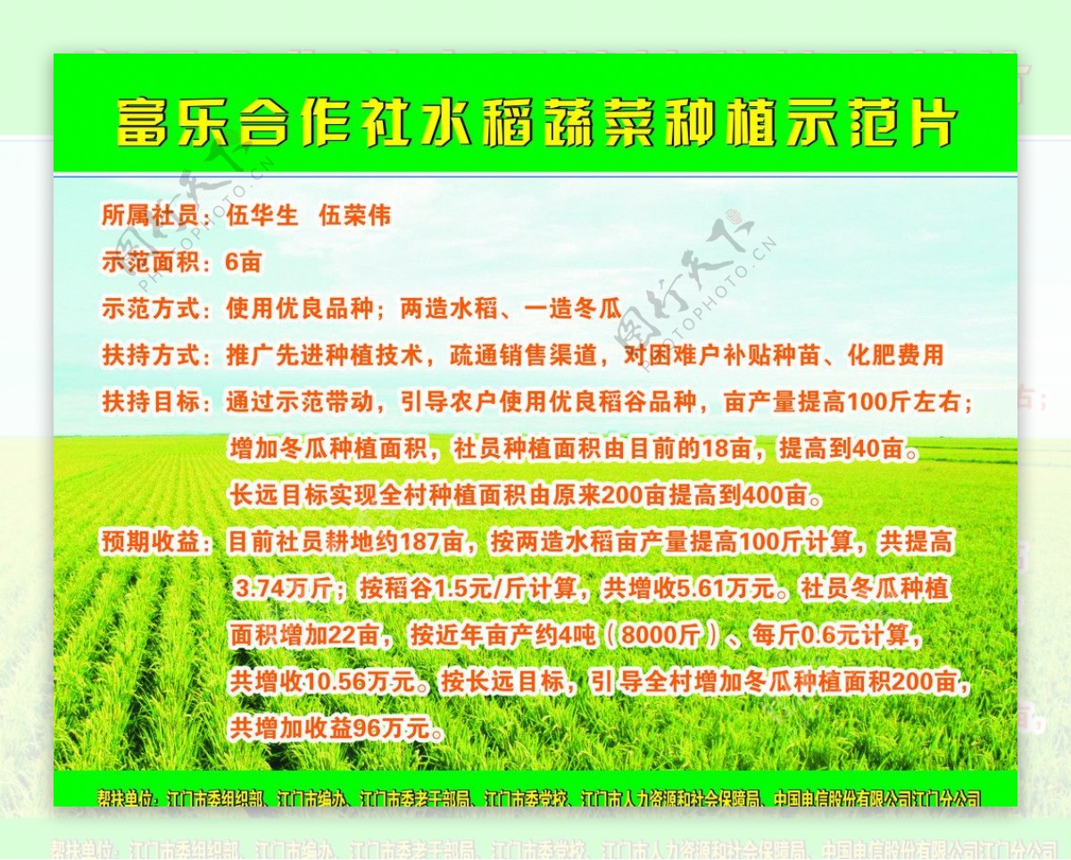 水稻农业宣传栏图片