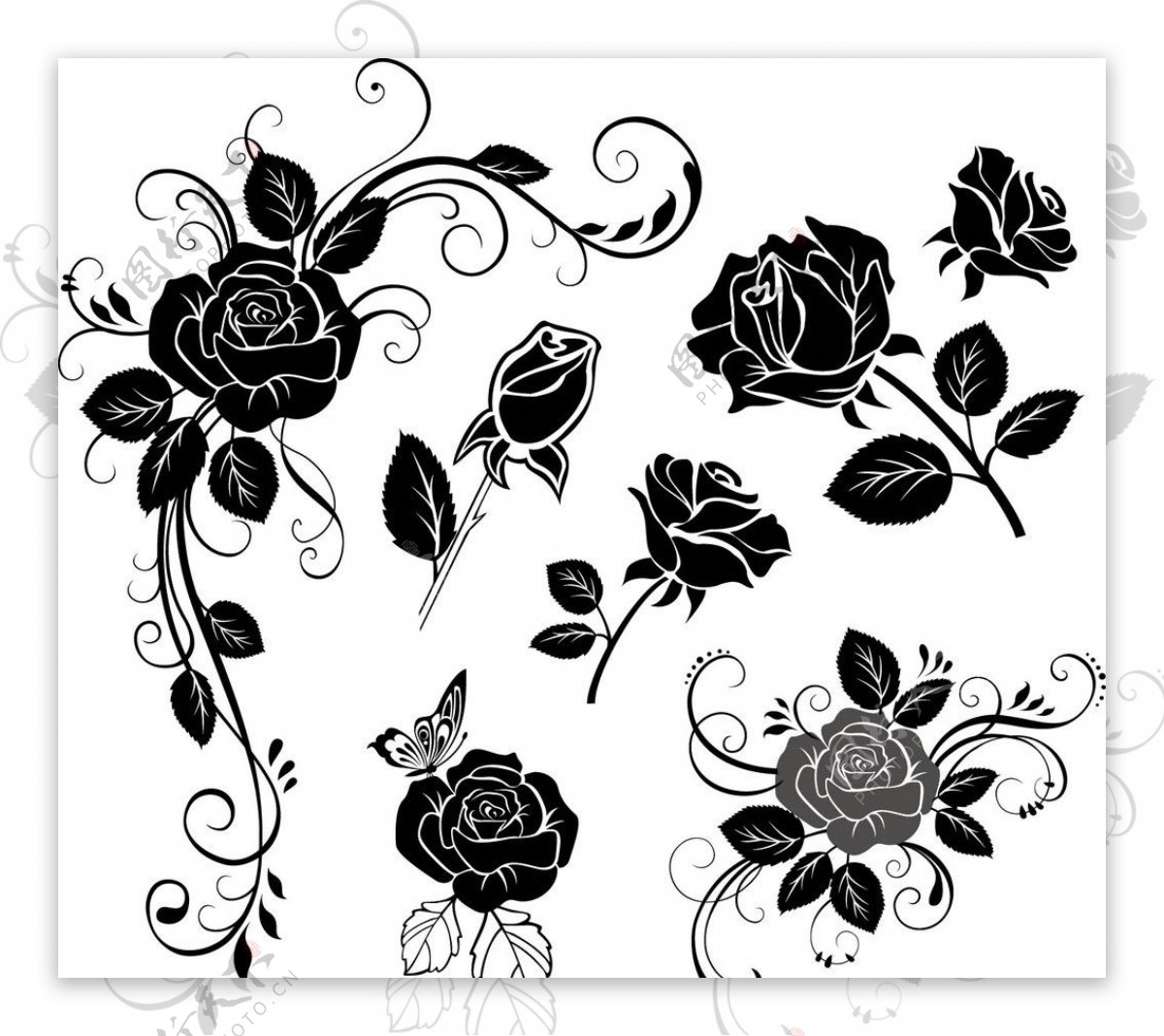 玫瑰花图片素材-编号07829836-图行天下