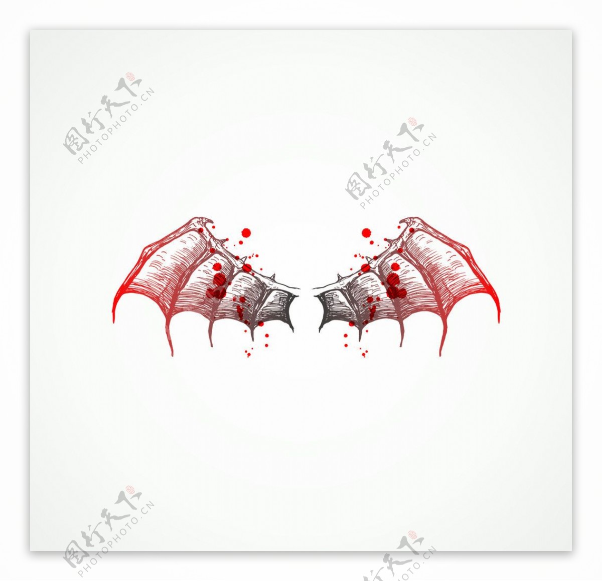 蝙蝠翅膀图片
