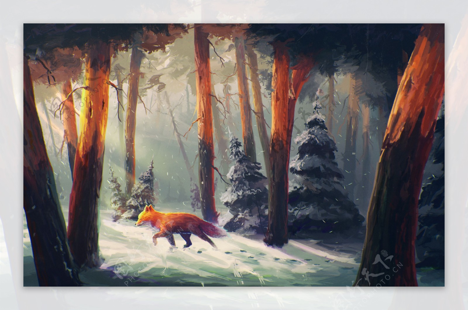 绘画森林里的狐狸图片