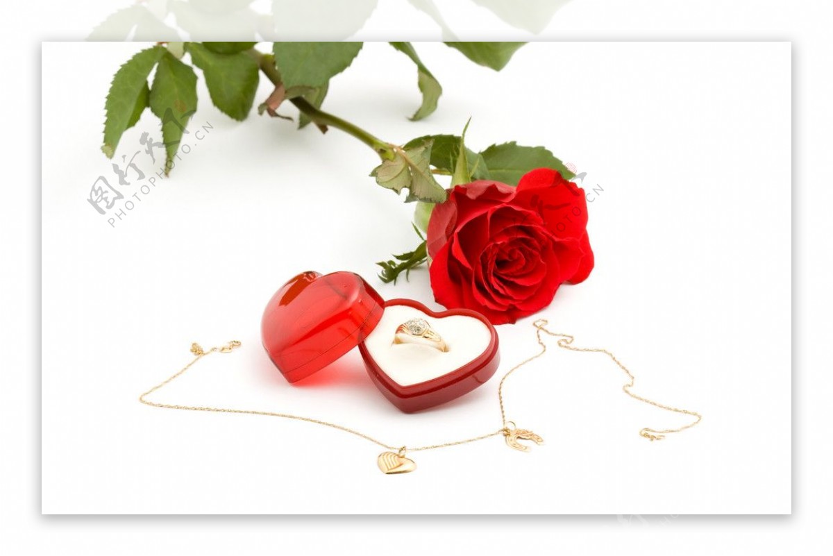 玫瑰和爱心礼盒戒指图片