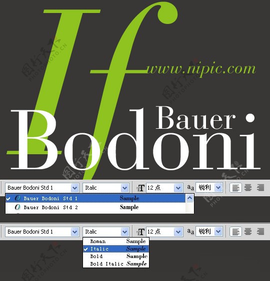 BauerBodoniStd系列字体下载