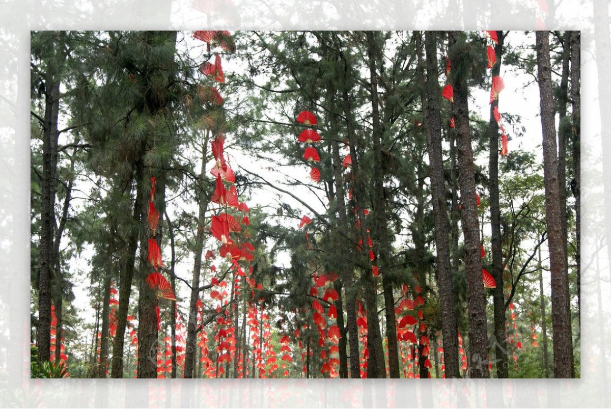 春节气氛红扇子图片