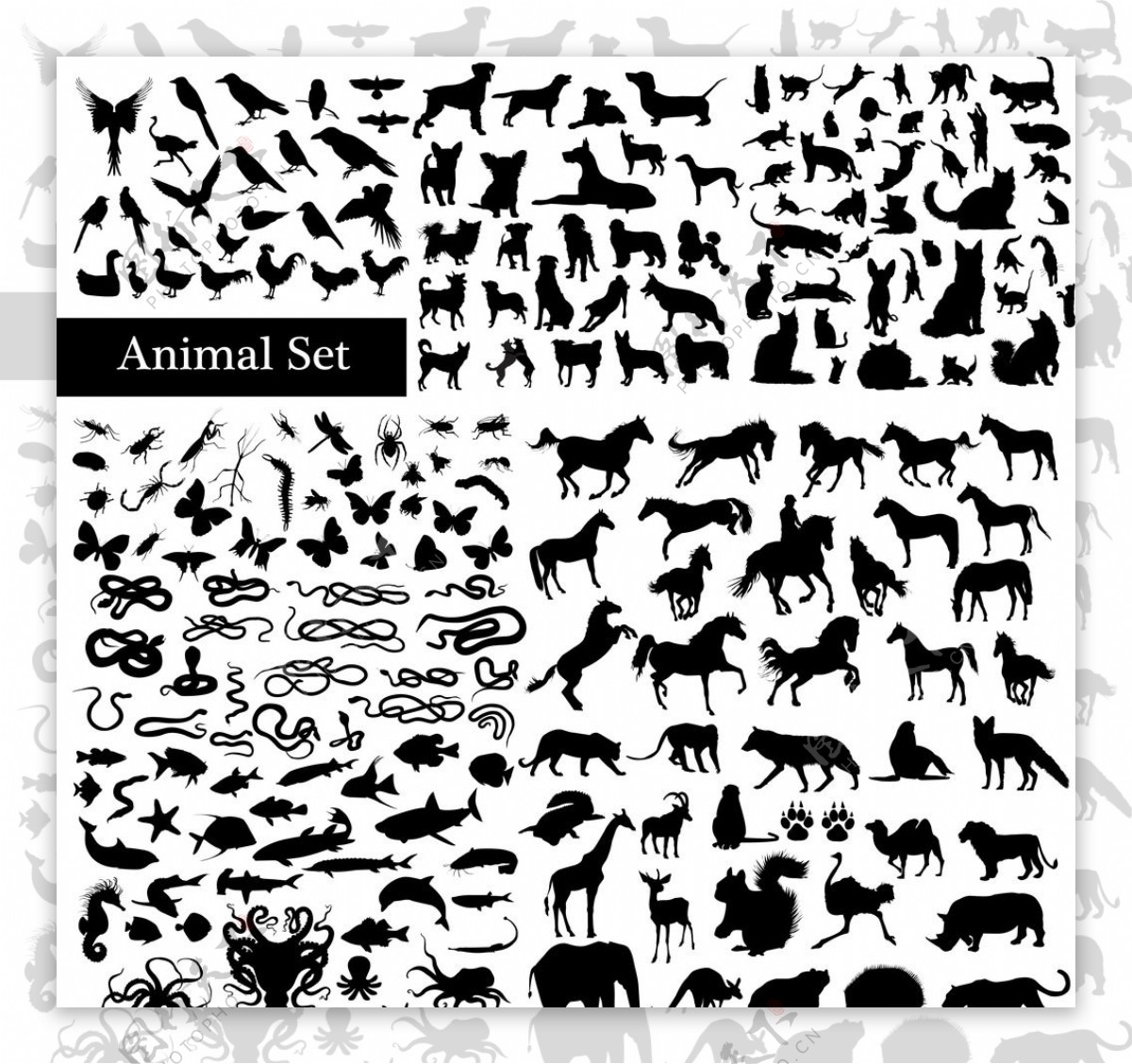 动物剪影图片