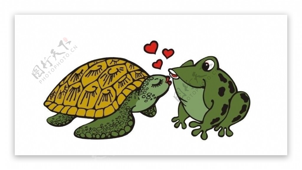 龟蛙之恋图片