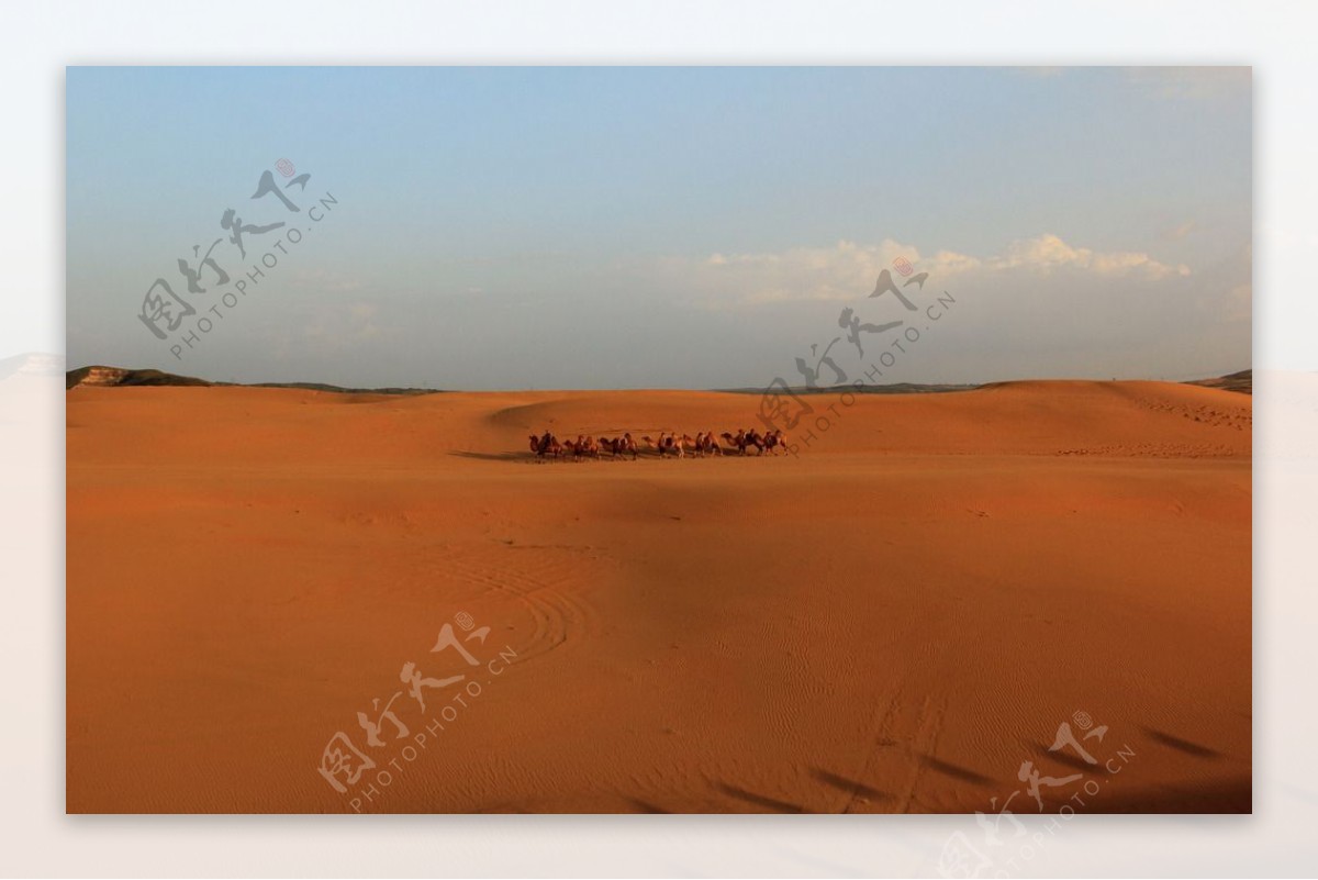 沙漠图片素材-编号12079352-图行天下