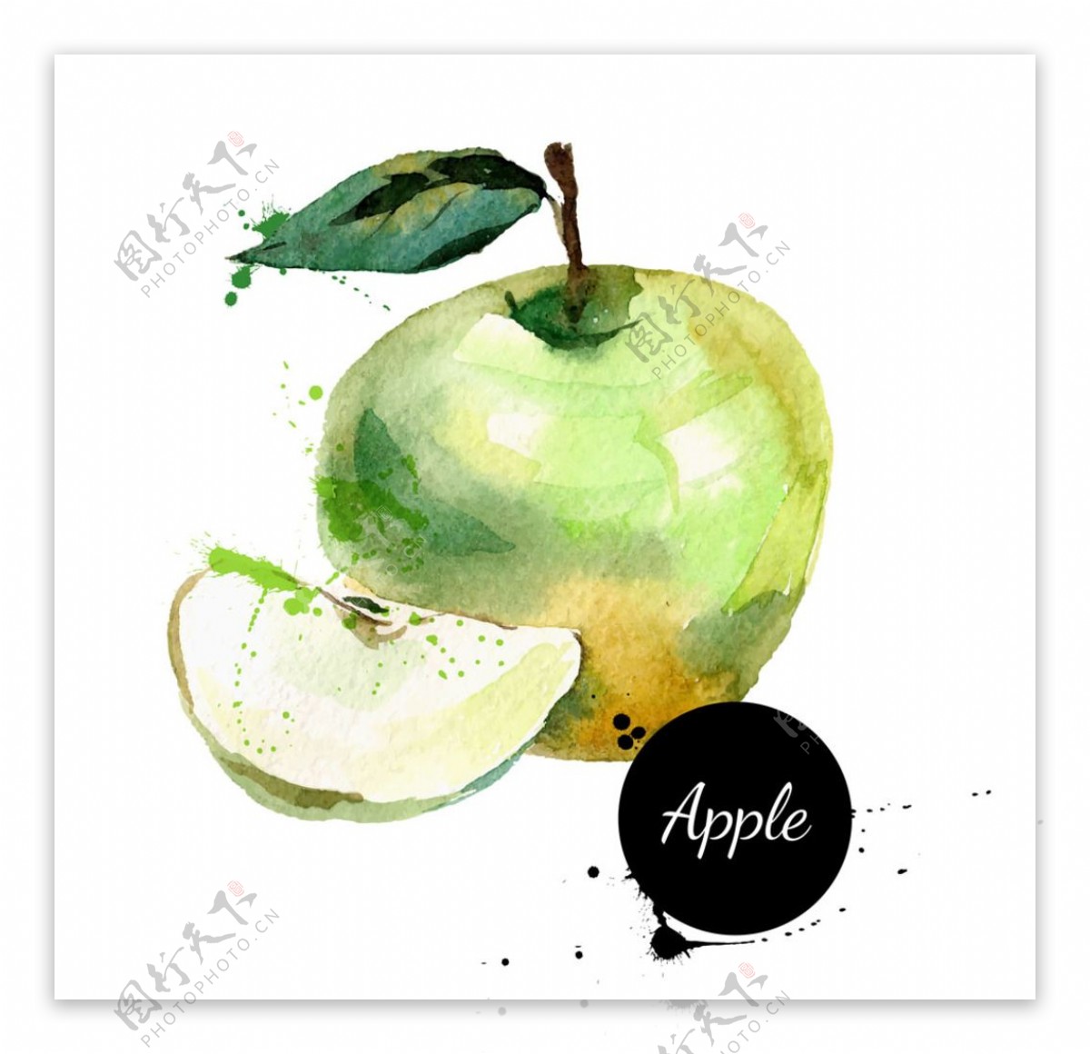 水彩水果苹果图片