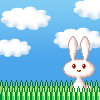 草原上的白兔图片