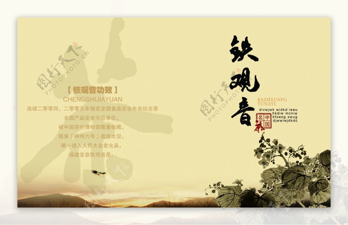 中国名茶铁观音图片