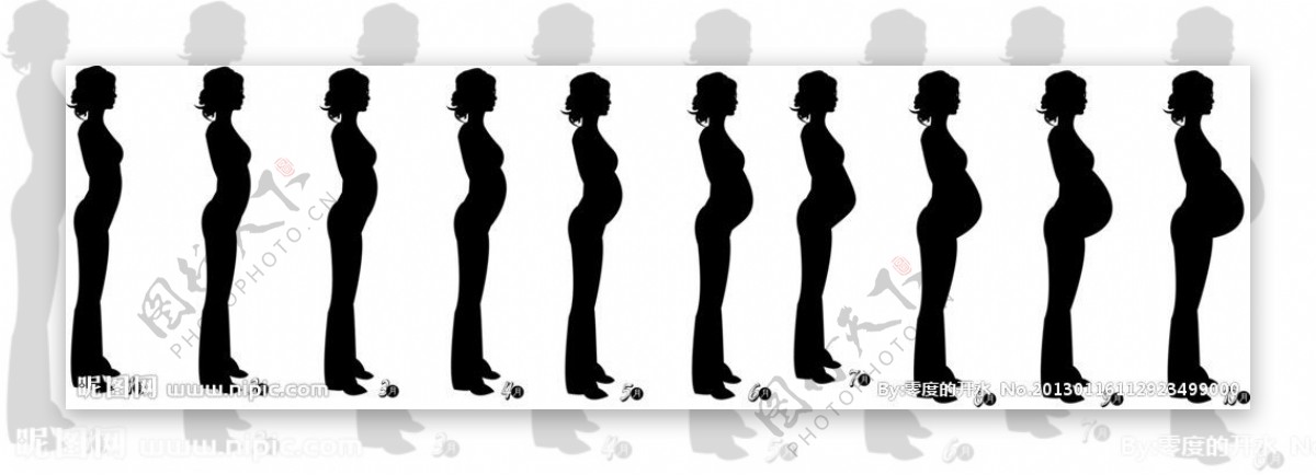 妊娠期肚子变化图片