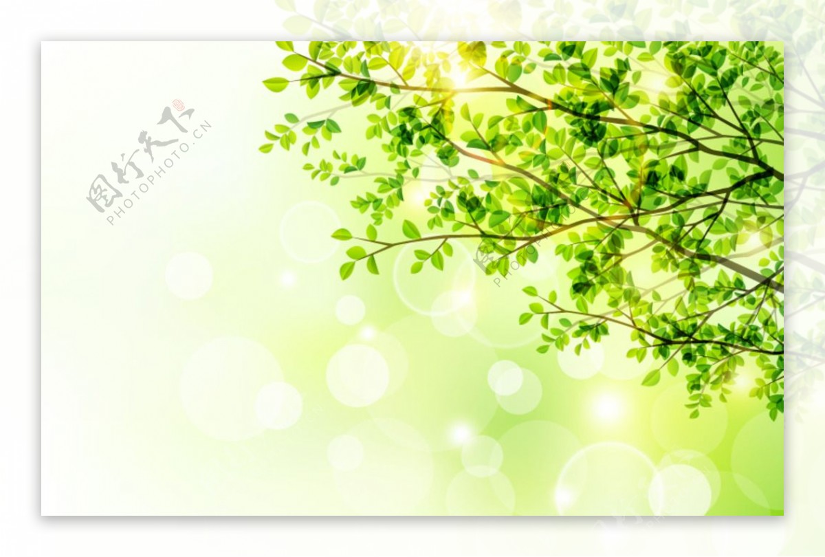 春季树木与阳光矢量素材图片