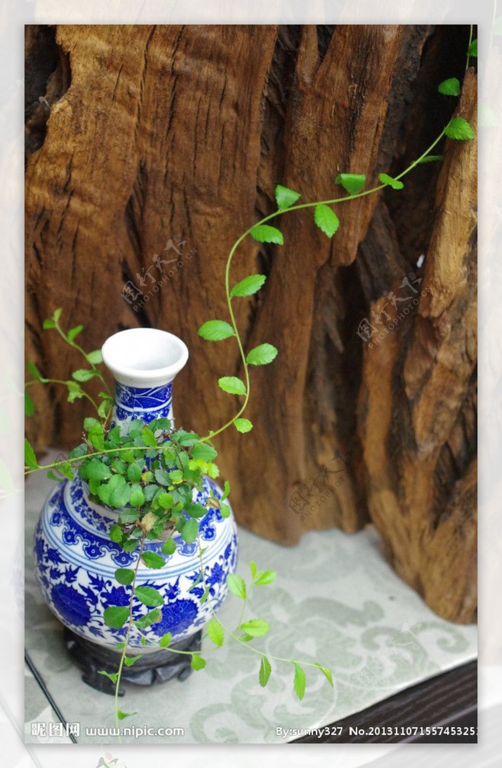 绿色藤蔓缠绕花瓶图片