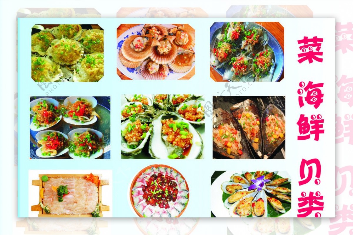 菜海鲜贝类图片