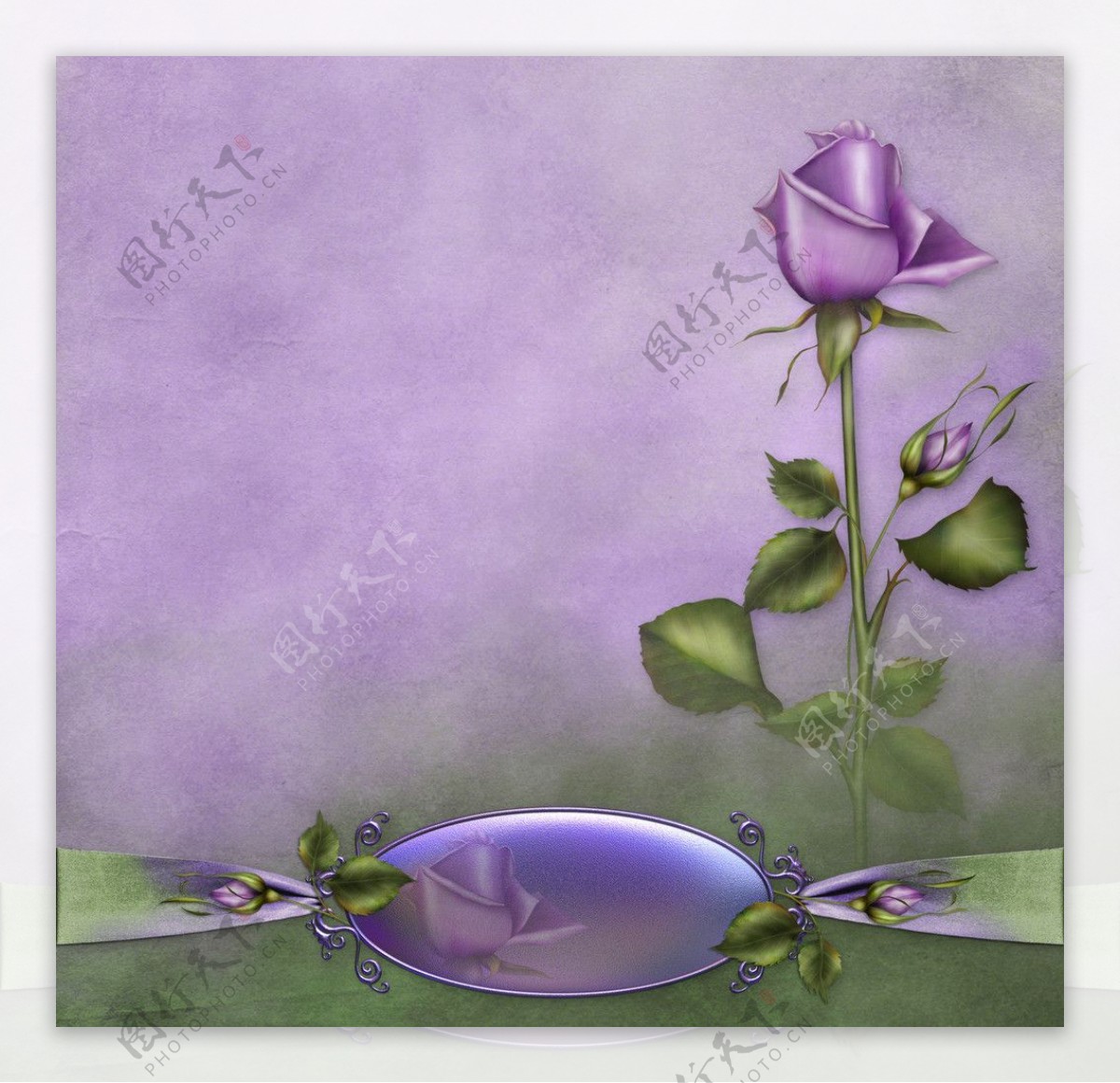 高贵典雅紫色玫瑰装饰图片素材