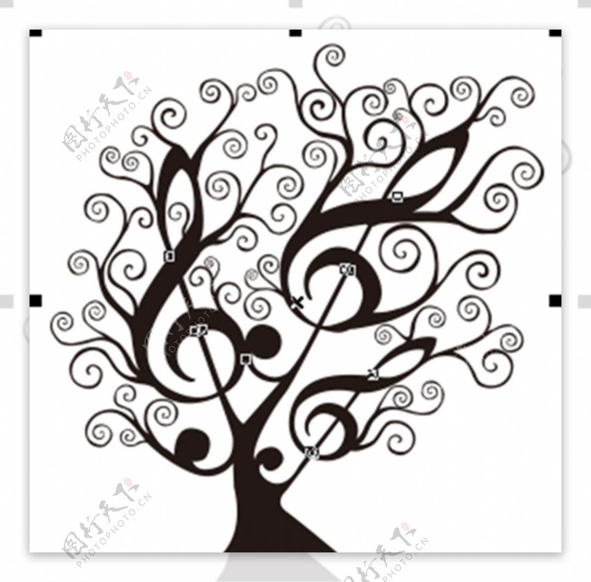 音乐树图片