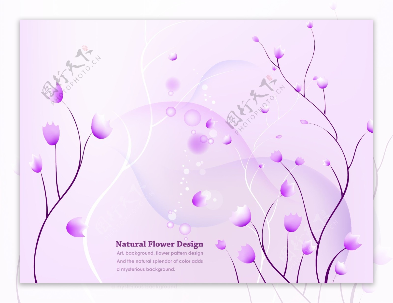 紫色花朵矢量背景图片