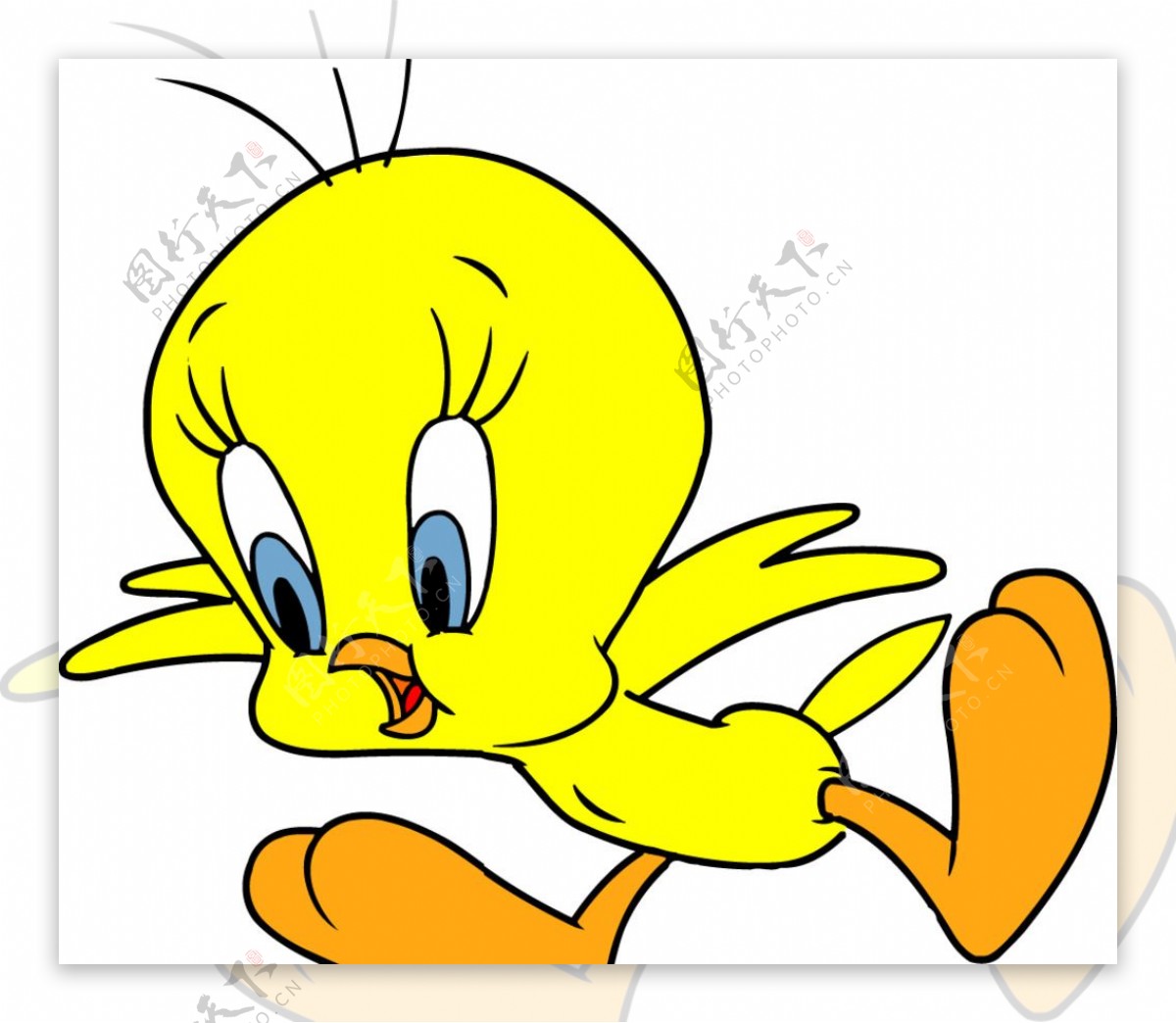 吃惊的小黄鸡卡通画像图片