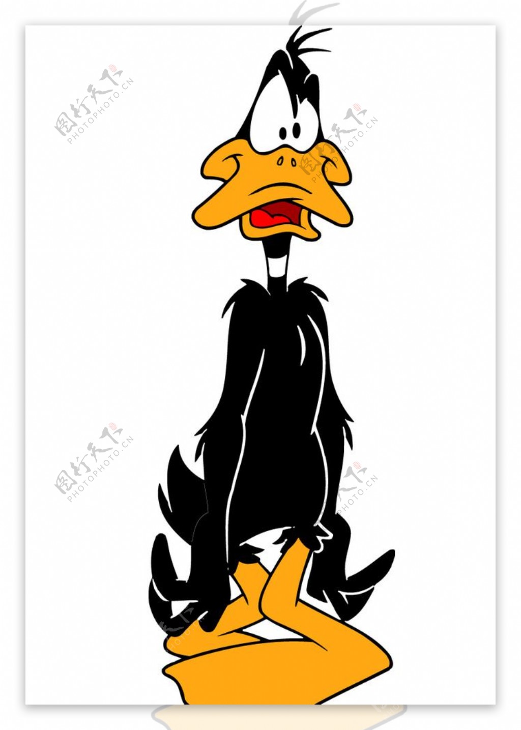 卡通角色Daffy鸭子图片