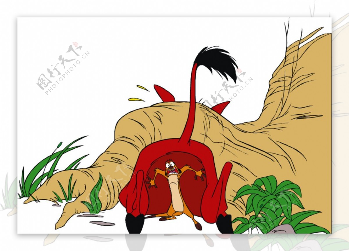 彭彭Pumbaa狮子王卡通图片