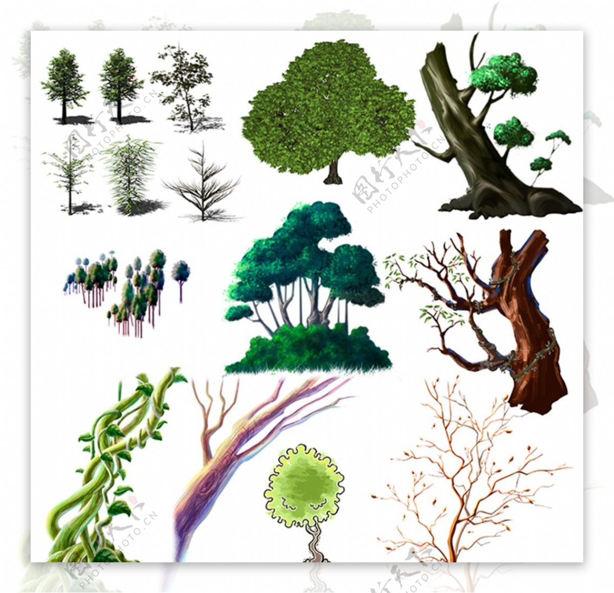 树素材图片