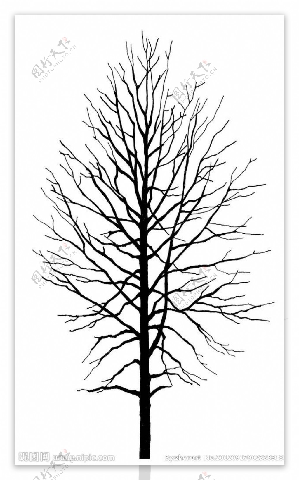 Fanal-树黑白照片