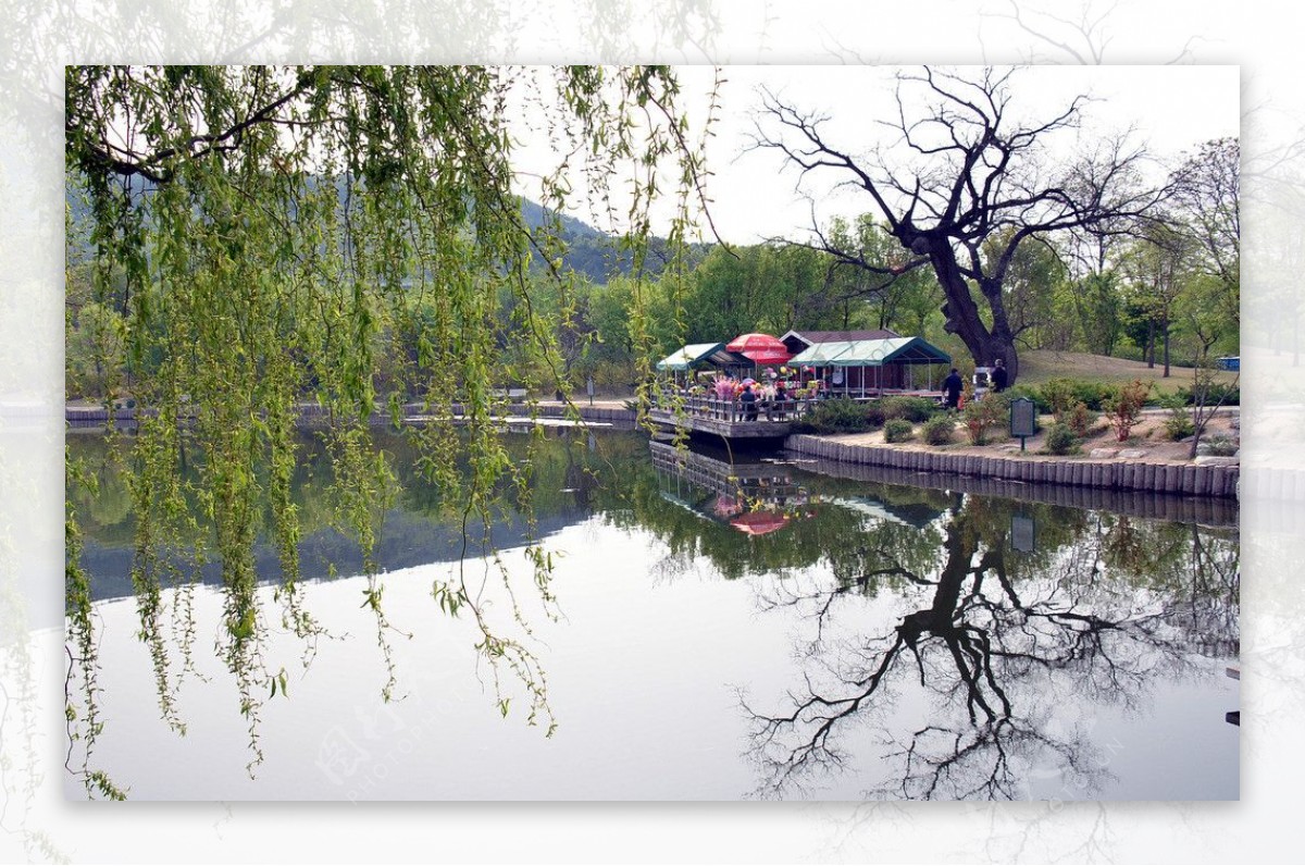 北京植物园秋色图片