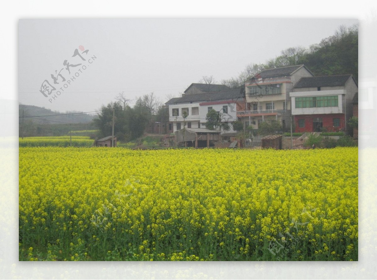 衡阳县乡村风景图片