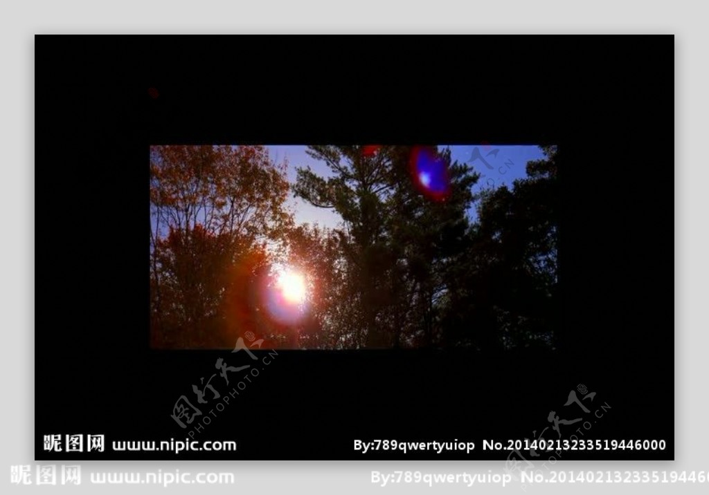森林树木夕阳视频素材