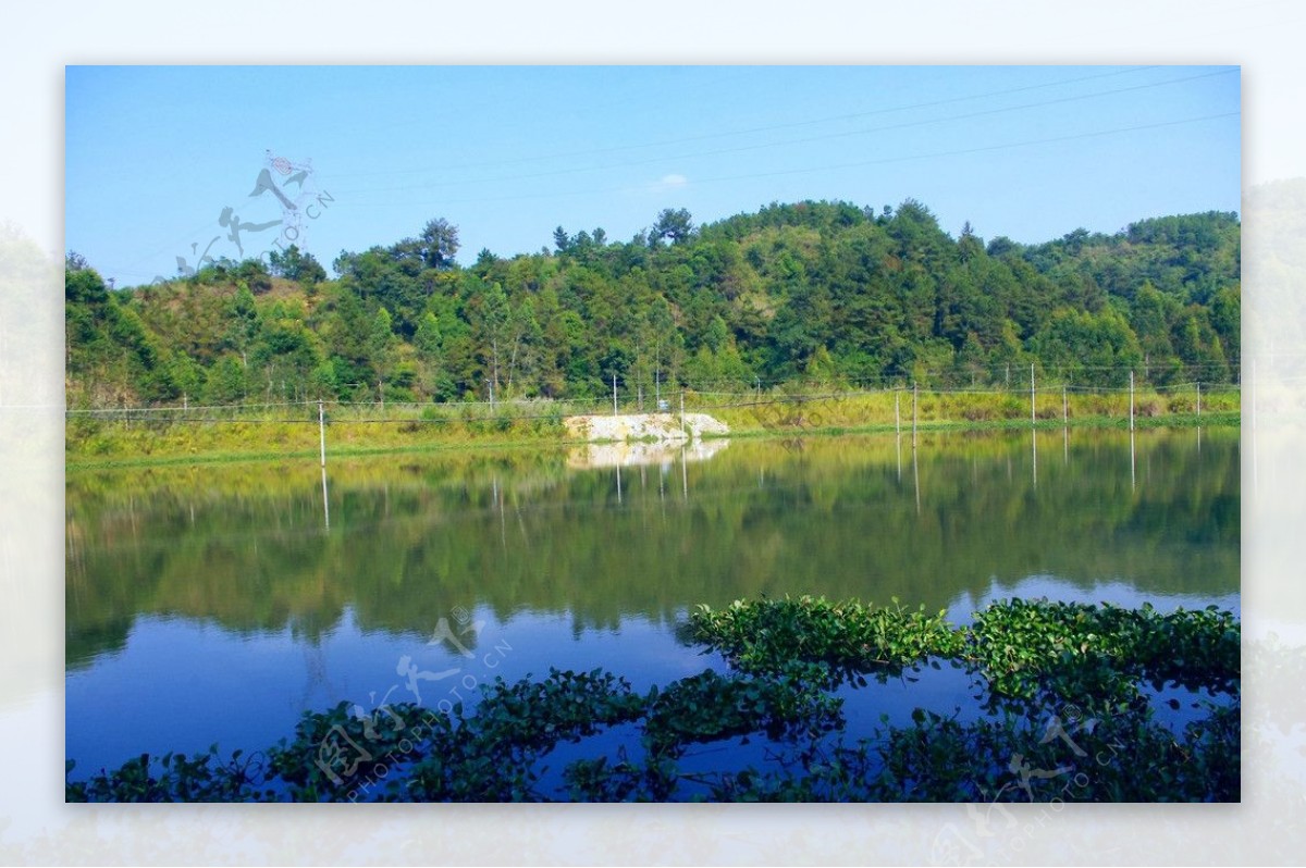 水塘景观碧水蓝天图片